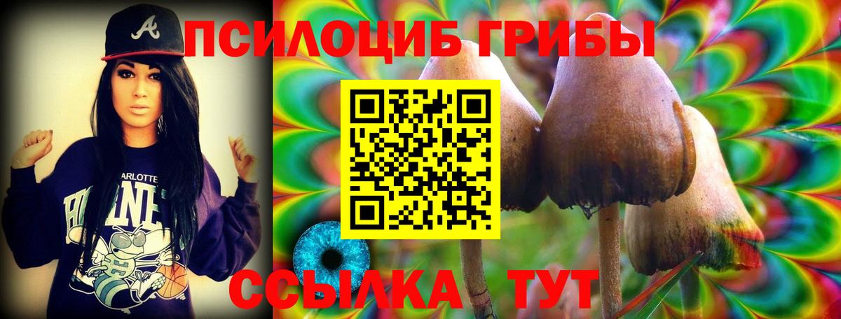 Псилоцибиновые грибы GOLDEN TEACHER Омск